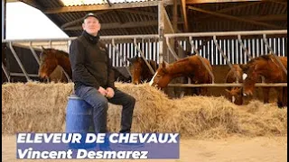 Semaine des métiers de l'Agriculture - Jour 1 : le métier d'éleveur de chevaux