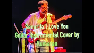 Senorita - Guitar Instrumental Cover by Kumaran