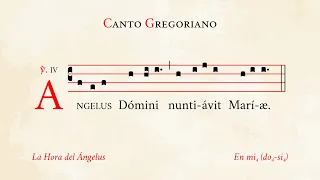 Sung "Angelus" – Gregorian Chant