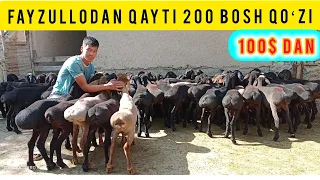 OTANGA RAXMAT DEYISHSA BOʻLDI 100$ DAN QOʻZILAR FAYZULLODAN