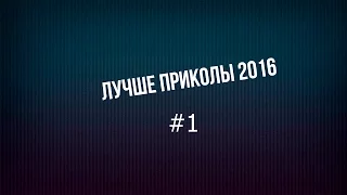 Лучшие приколы 2016 - POZITIV HD #1