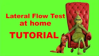 Lateral Flow Test at home  -  TUTORIAL