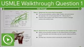 USMLE Step 1 Anatomy Question #1: Walkthrough Tutorial by DocOssareh | Lecturio