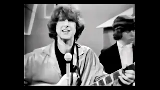 The Byrds  (live vocals w original music) -  Mr Tamborine Man  (May 11,1965)(Stereo Mixed)