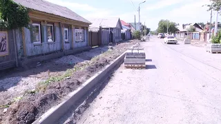 Зеленые зоны улицы Щеткина планируют оформить рулонным газоном.