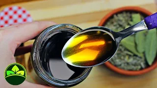 Cleanse Your Lungs: Discover the Most Powerful Homemade Cough Syrup!