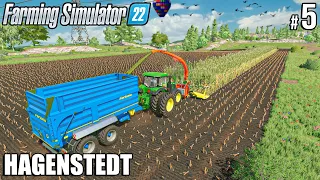 Harvesting SILAGE with Lacotec, Feeding COWS | COWS in Hagenstedt | Farming Simulator 22