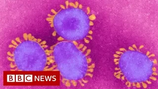 Coronavirus: World in 'uncharted territory' - BBC News