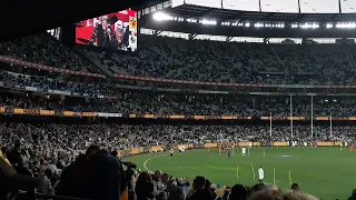 Hawthorn Hawks vs Collingwood Magpies | The Badloves perform "Green Limousine" | 5 August 2023