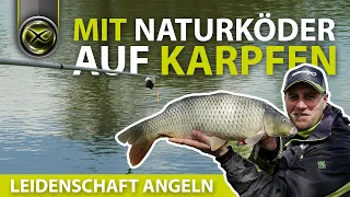 Mit NATURKÖDER & KOPFRUTE auf KARPFEN - Thorsten Küsters - Leidenschaft Angeln