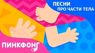 Части тела | Песни про Части Тела | Пинкфонг Песни для Детей