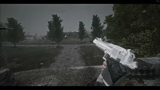 S.T.A.L.K.E.R. Anomaly Deagle Reanimation Preview