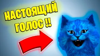 настоящий голос котёнка лайка🙀🙀🙀🙀🙀🙀!!!