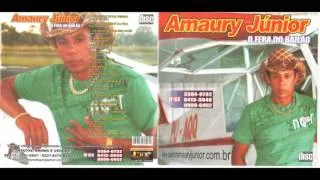 Cd completo Amaury Junior vol 13
