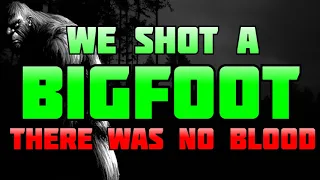 WE SHOT A BIGFOOT - NO BLOOD!?