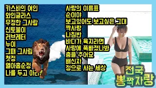 [트로트 메들리]  함께 따라 불러요~ 신나는 뽕트롯 메들리