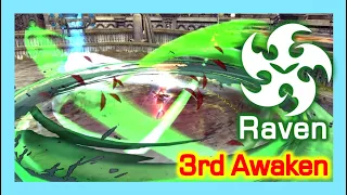 Raven 3rd Awaken Skill Detail / Awesome Skill Animation / Dragon Nest Korea (2022 November)