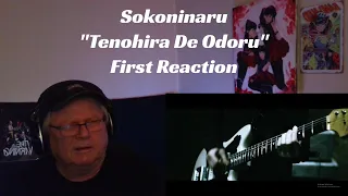 Sokoninaru - "Tenohira De Odoru" - First Reaction