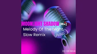 Moonlight Shadow mix Melody Of The Night slow Remix