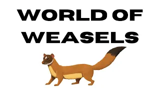 A WORLD OF WEASELS? - Project Mustelon Ep. 1 (Speculative Evolution Seed World)