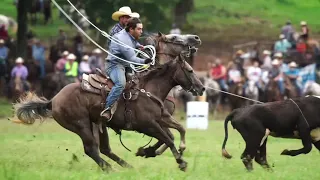 National Championship Chuckwagon Races - 2020 Intro