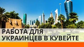 Как в Кувейте относятся к украинскому народу – Утро в Большом Городе