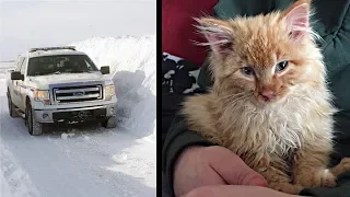 Policeman Saves A Kitten Frozen In Chunk of Ice.