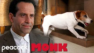 A Cute Dog Was Trained to Kill | Monk