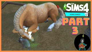 BUYING A NEW HORSE AND A SHEEP!  | The Sims 4 Horse Ranch | Part 3