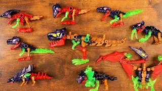 Tyrannosaurus & Dinosaurs Bones model kits
