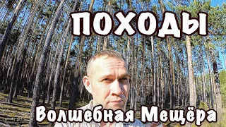 Поход по мещерским лесам.