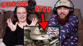Americans React to British Animals You Won't Find in America!