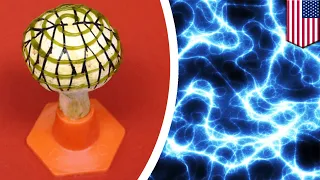 Mushroom and bacteria turn light into clean energy - TomoNews