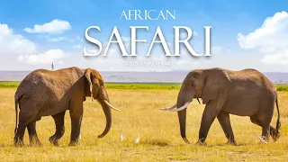 African Safari 4K - Scenic Wildlife Film With Relaxing Music