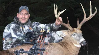 Big Buck Gets SNORT WHEEZED Into Bow Range!