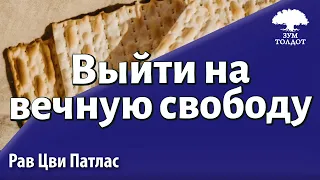 Что это значит - выйти на вечную свободу? Р. Цви Патлас