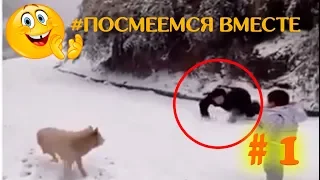 Посмеемся вместе # 1 Вот это прикол coub