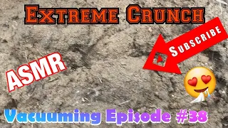 EXTREME Crunch “DRY SOIL REMOVAL” ASMR workhorse VACUUM *A+ / Episode #38