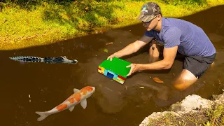 LEGO Fish Trap Catches COLORFUL Fish For My Mini Pond