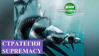 Стратегия Supremacy для форекса или for forex