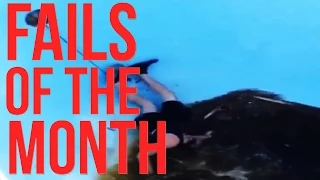 EPIC FAIL COMPILATION August 2015 | BEST OF FAILS & WINS| #9