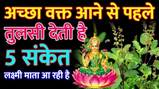 Vastu Shshtra - अच्छा वक्त आने से पहले तुलसी का पौधा देता है ये 5 संकेत | Tulsi puja