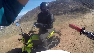 We found a 2017 Honda Grom Street Bike Hill Climbing!