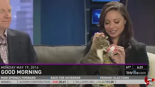 News Bloopers Fails