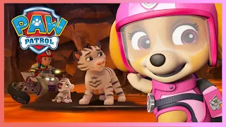 Rescue Knight Pups save Baby Dragons, Tigers and more! | PAW Patrol | Cartoons for Kids Compilation