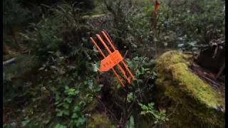 Unsere Rhön - Natur in Wald, Feld und Flur (Teil 2)