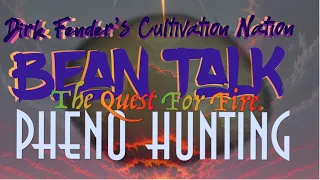 Bean Talk: The Quest For Fire/Pheno Hunting