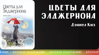 Цветы для Элджернона – Дэниел Киз | Краткое содержание