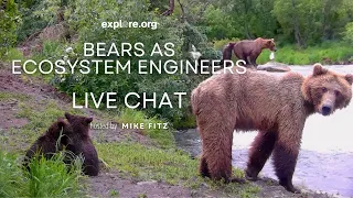 Bears as Ecosystem Engineers | Brooks Live Chat