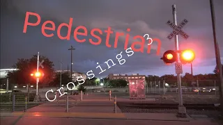 Pedestrian Walkway Railroad Crossings Compilation Part 3